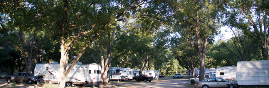 Shaded Camp Sites and Mature Oak Trees